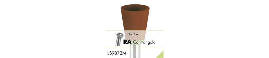 LS9872M.RA