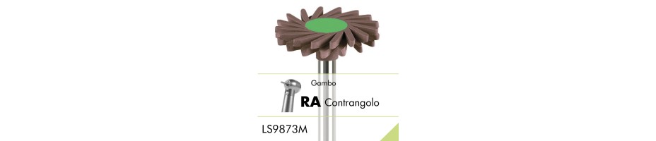 LS9873M.RA