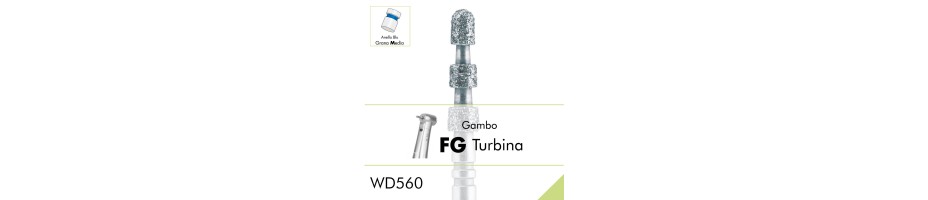 WD560.FG